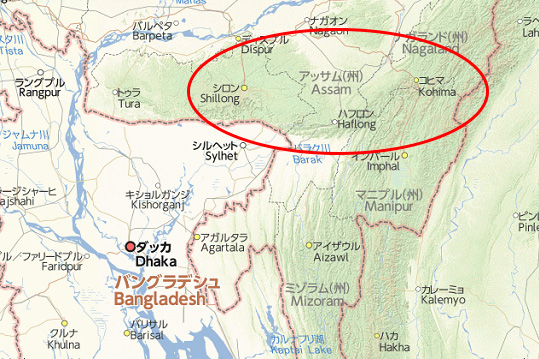 柑橘の起源と進化|富久寿園